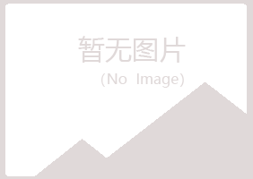 罗甸县雪青化学有限公司